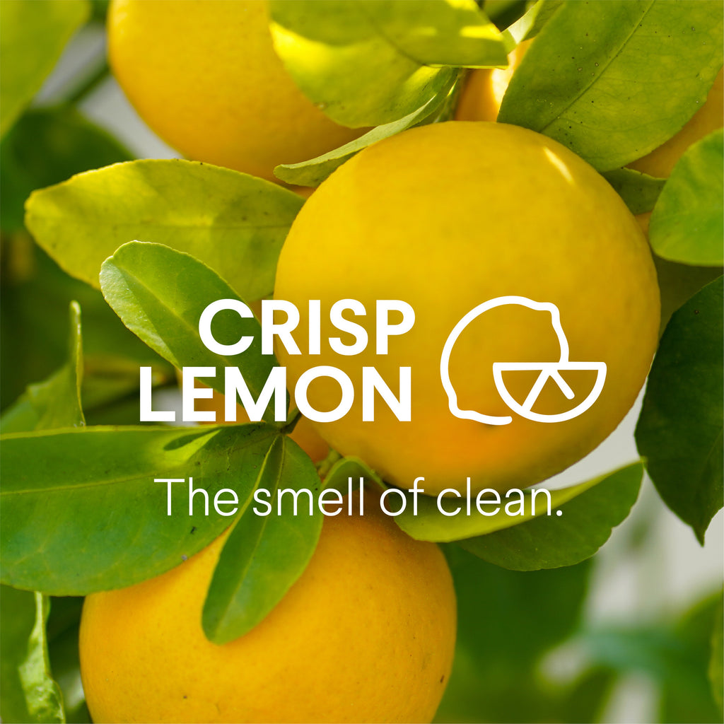 Clorox Disinfecting Bleach-Free All Purpose Cleaner, Crisp Lemon, 32 fl oz