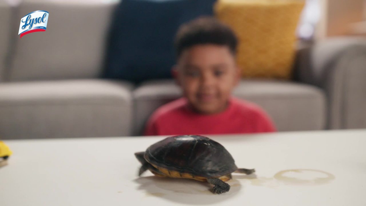 Lysol All Purpose Spray Cleaner for Sanitizing and Disinfecting, Lemon, 32 oz, 2 pack