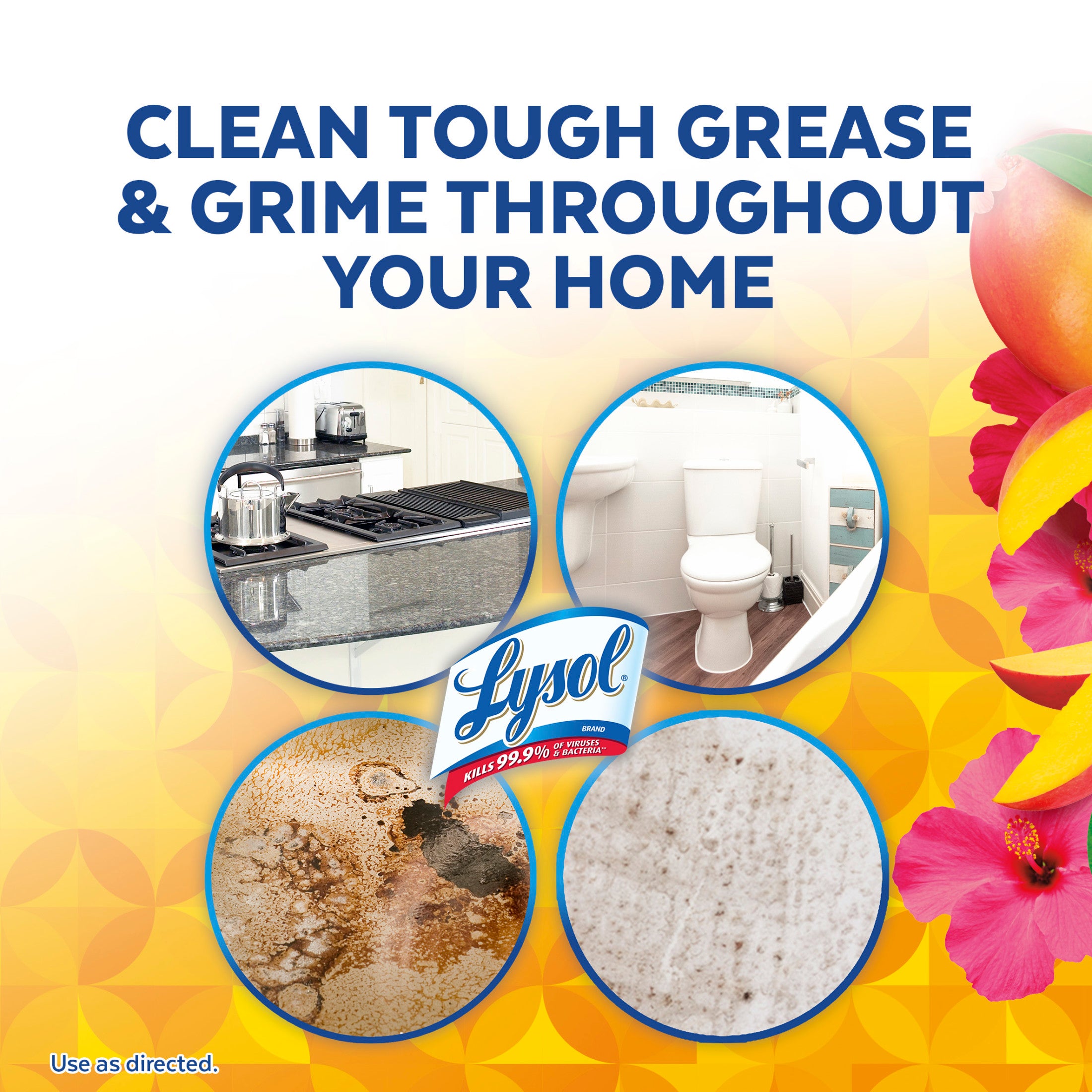 Lysol Brand New Day Bathroom Cleaning Foamer Aerosol, Mango & Hibiscus, 32 fl oz