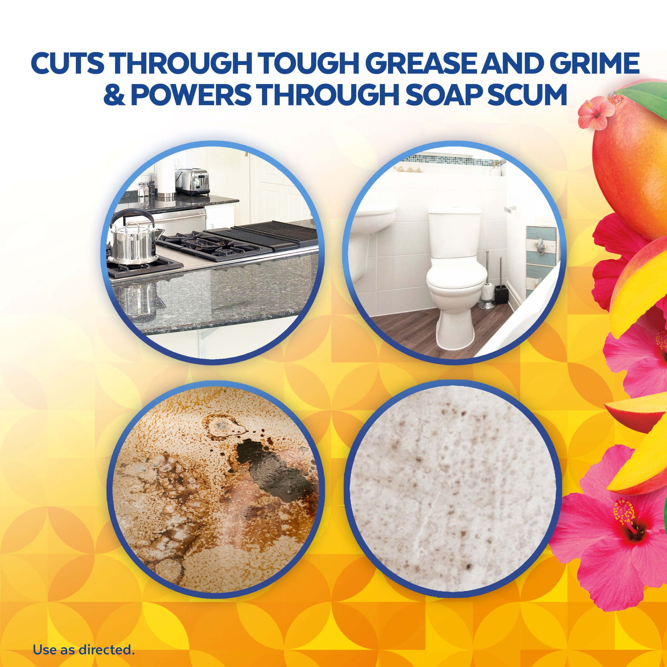 Lysol® Multi-Surface Cleaner - Pourable Brand New Day™ Mango & Hibiscus 9/48 oz.